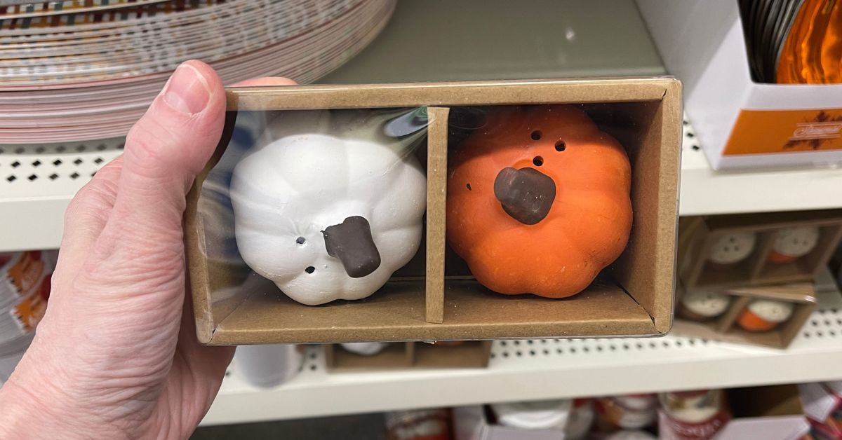pumpkin salt and pepper shakers