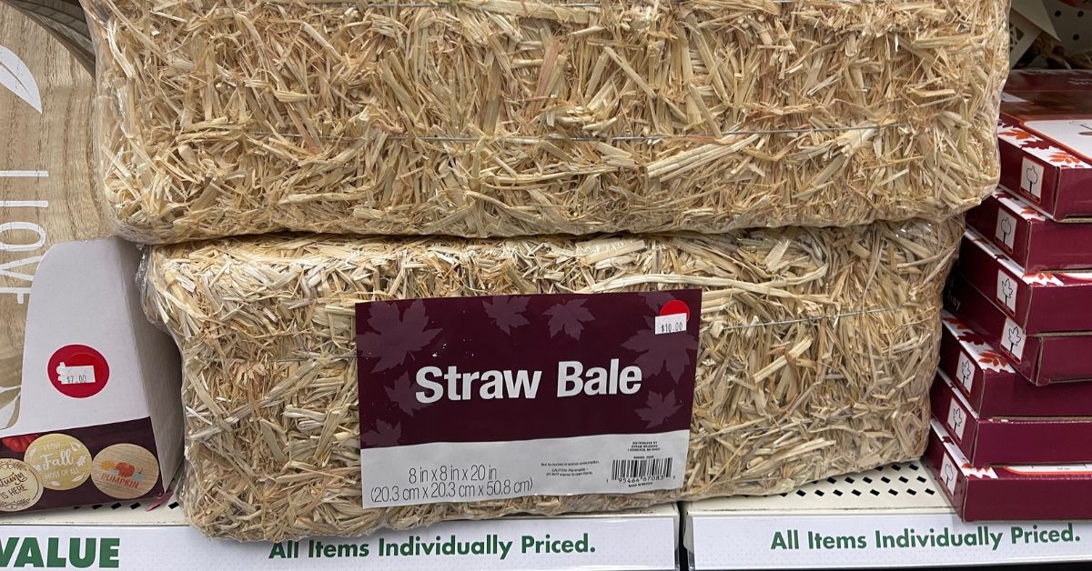 dollar tree straw bale