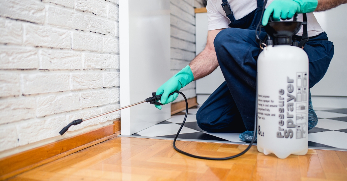 exterminator spraying pesticide