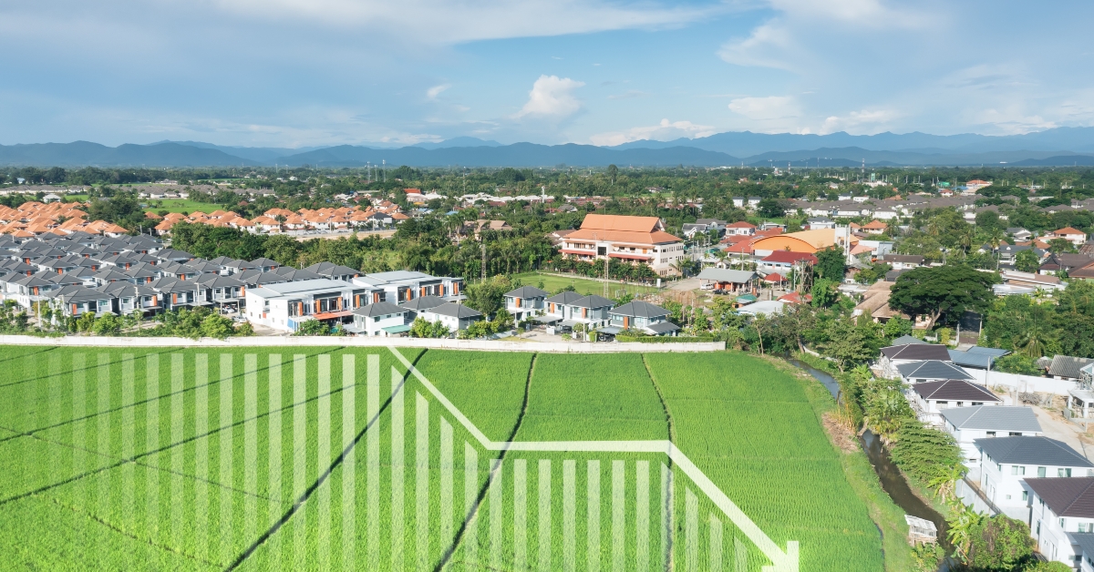 green field in aerial view