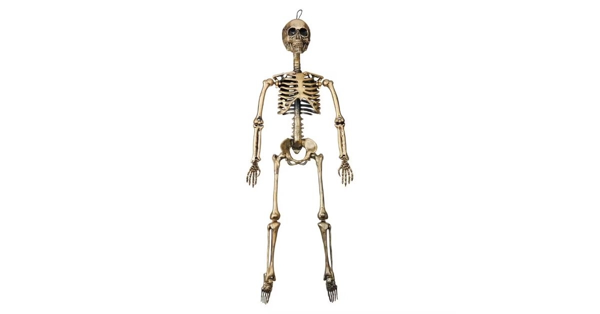 holloween collection skeleton