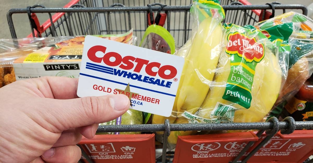A hand holding a Costco Membership card