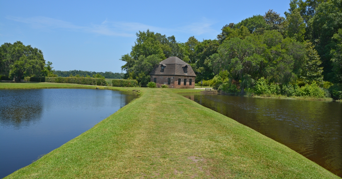 plantation in dorchester county