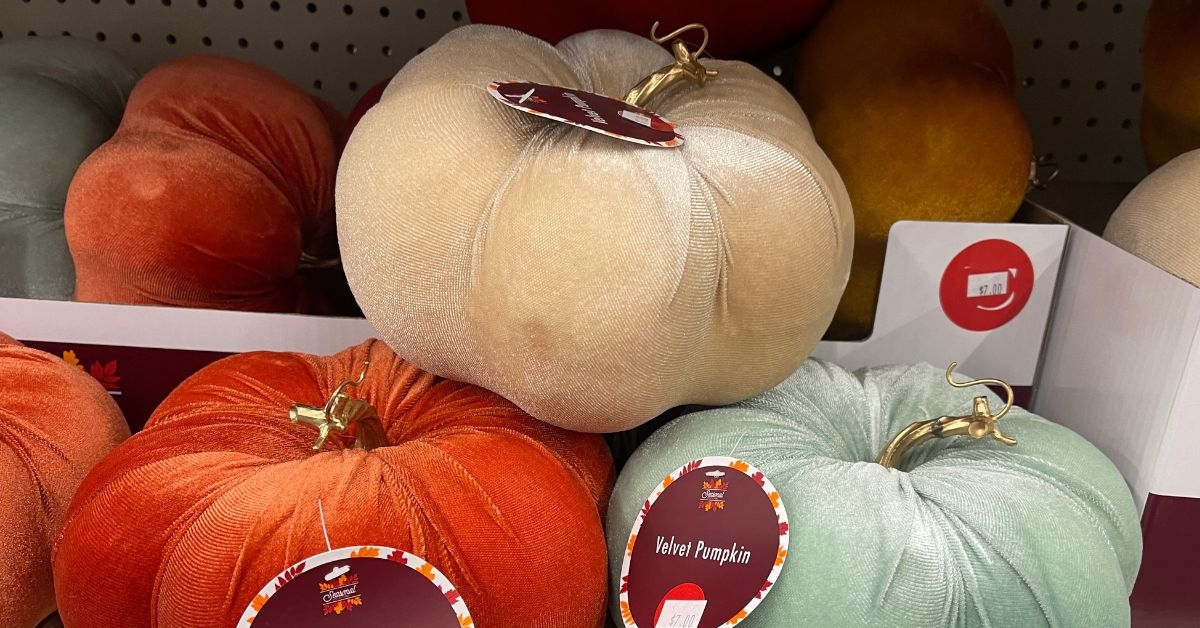 seasonal collection velvet pumpkings