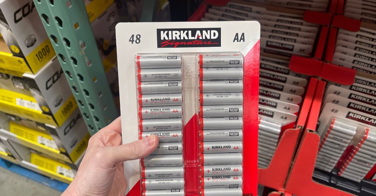 aa batteries