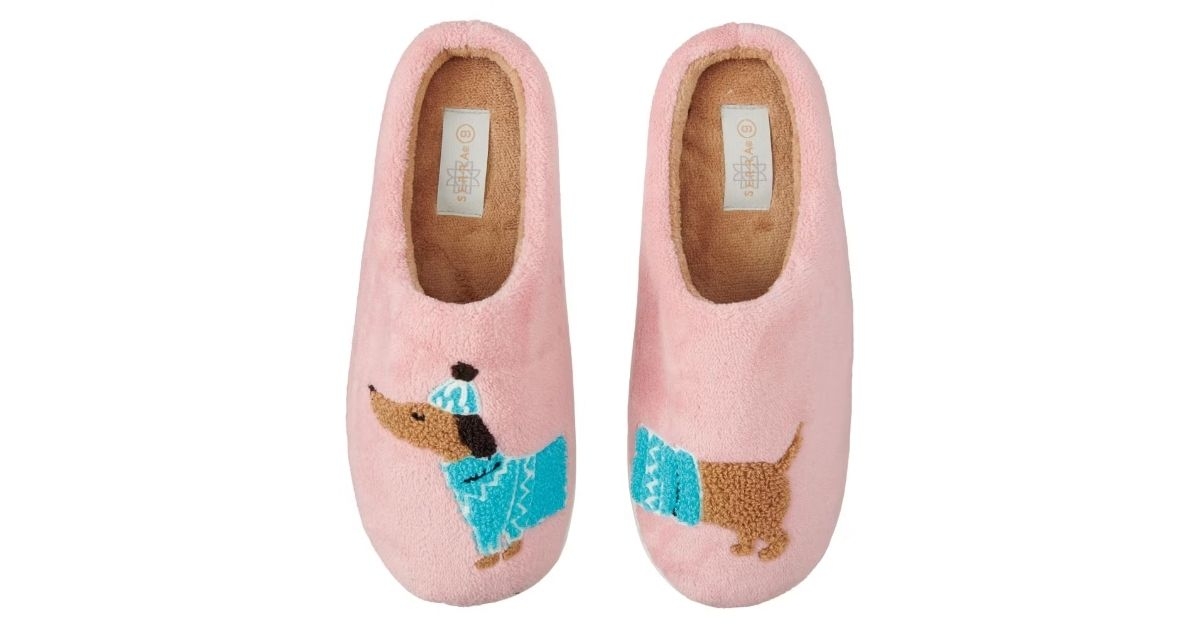ladies novelty slippers