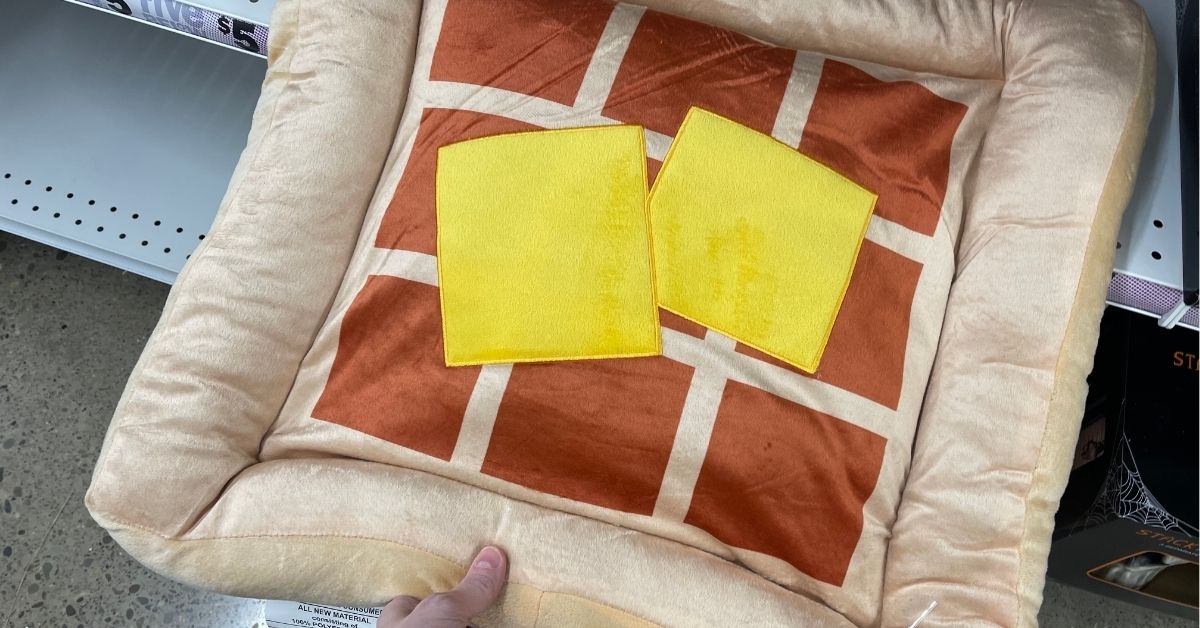 pawsitively fun pet bed