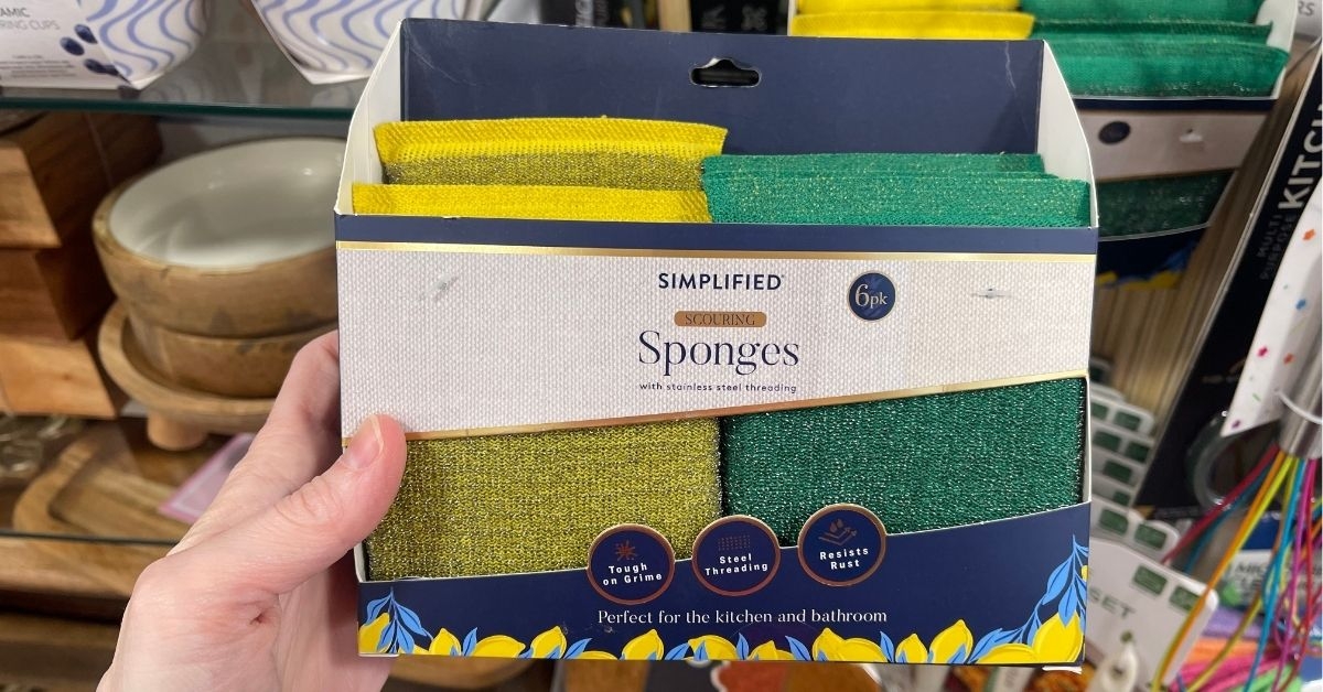 simplified sponges