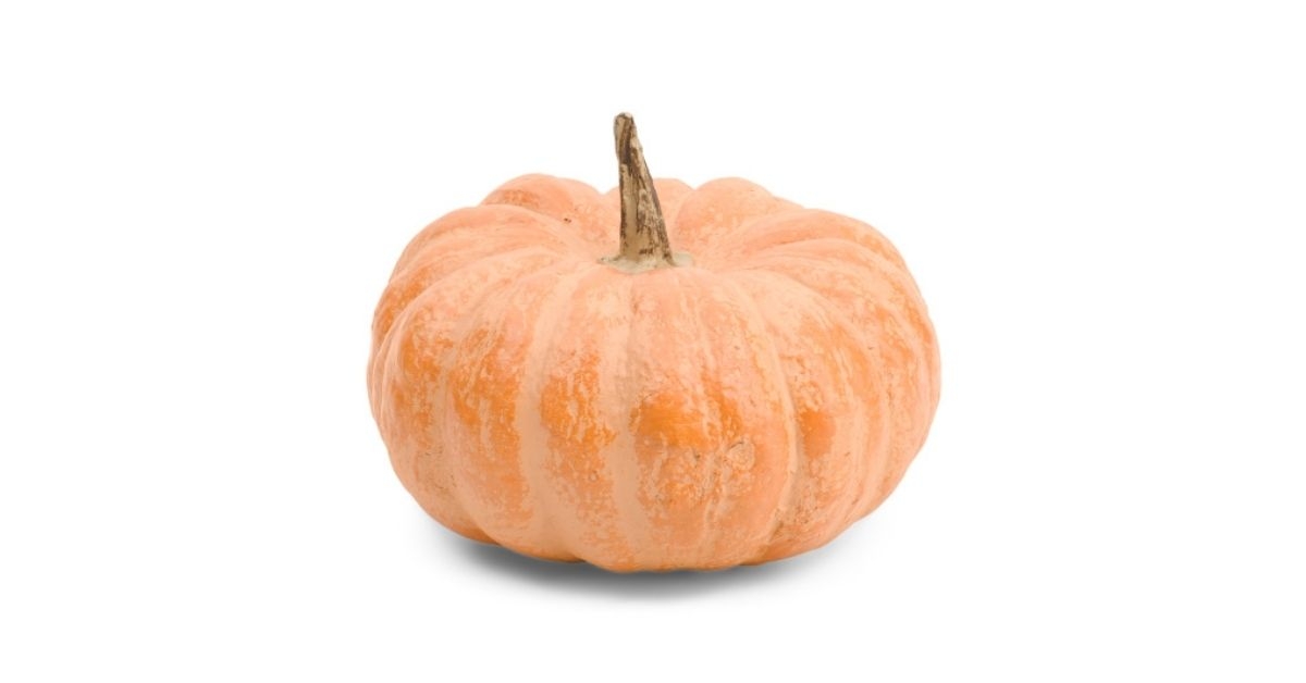 haymarket square resin pumpkin