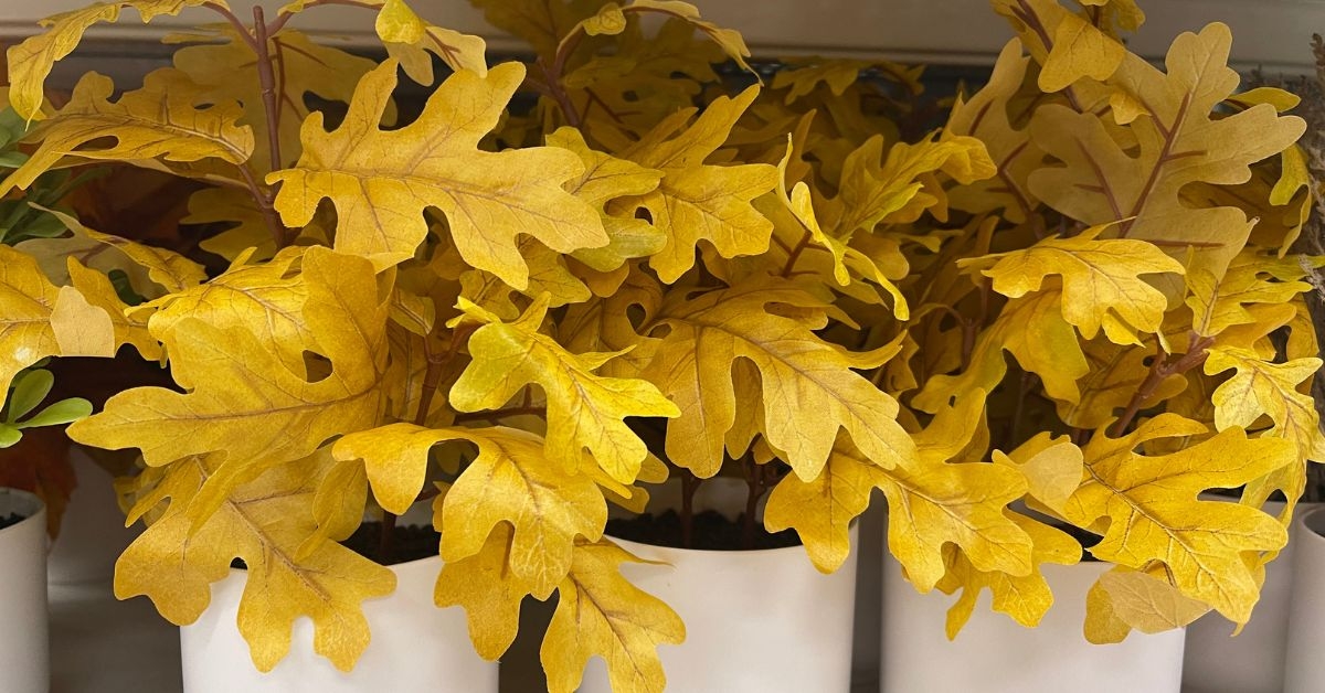yellow oak leaf mini arrangement