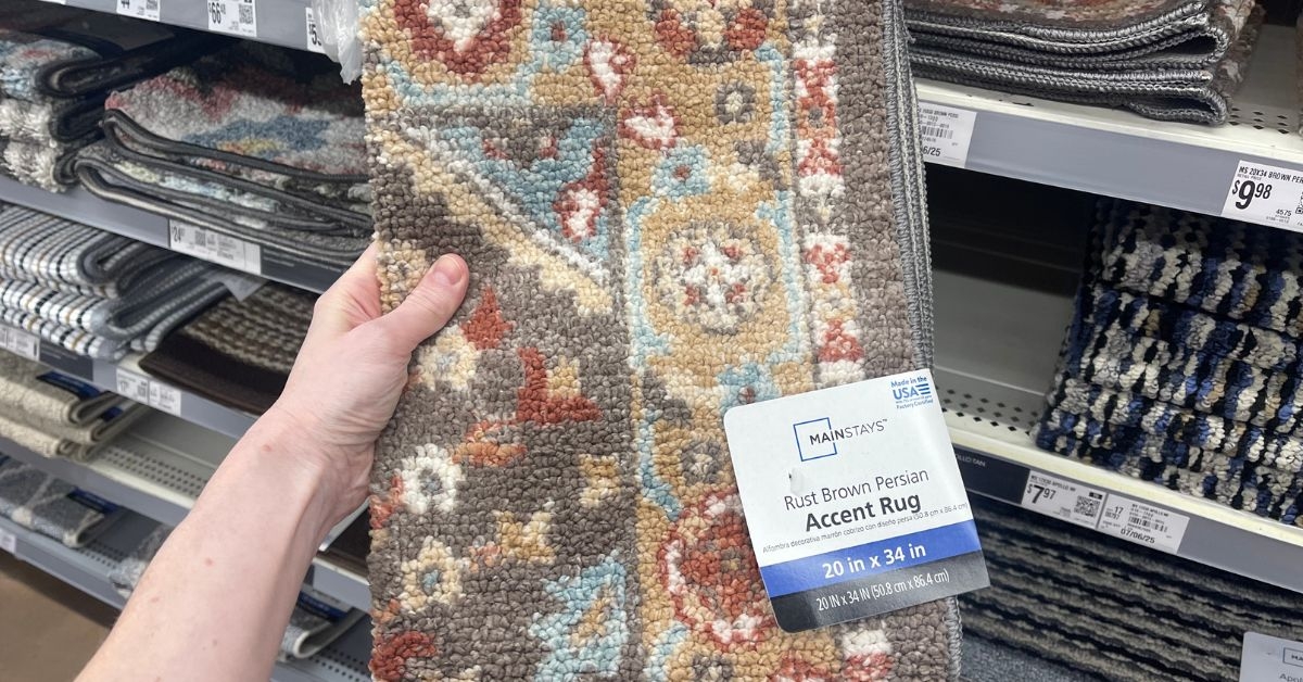rust brown persian accent rug