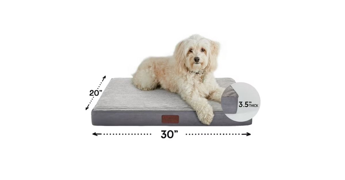 dog bed for medium and small dogs