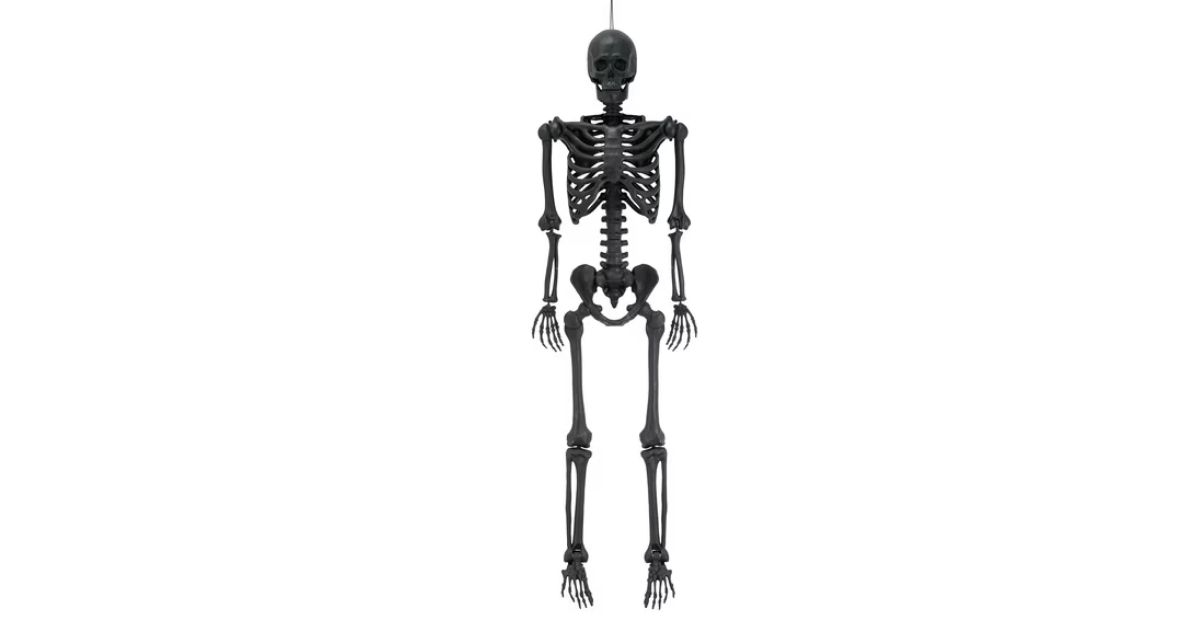 poseable skeleton decoration