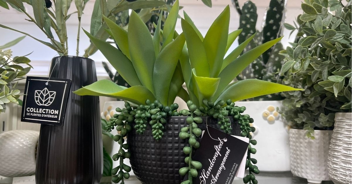 faux plant