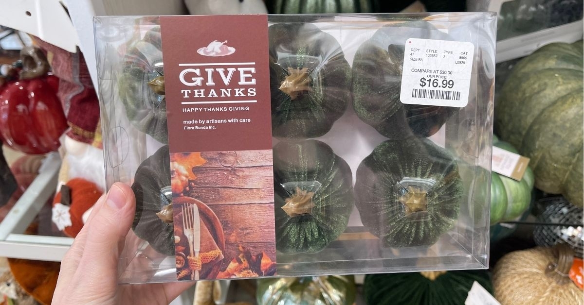 give thanks mini pumpkins