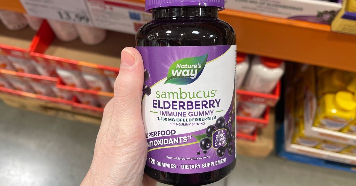 sambucus elderberry immune gummies