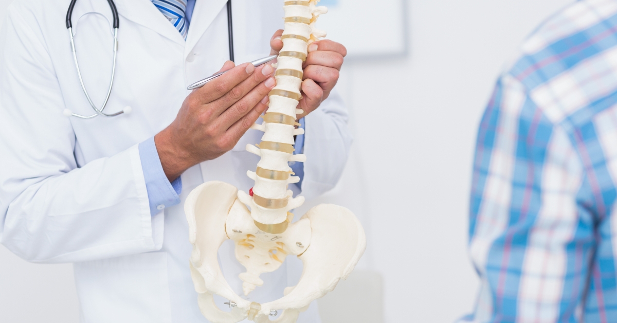 Doctor showing anatomical spine to his patient