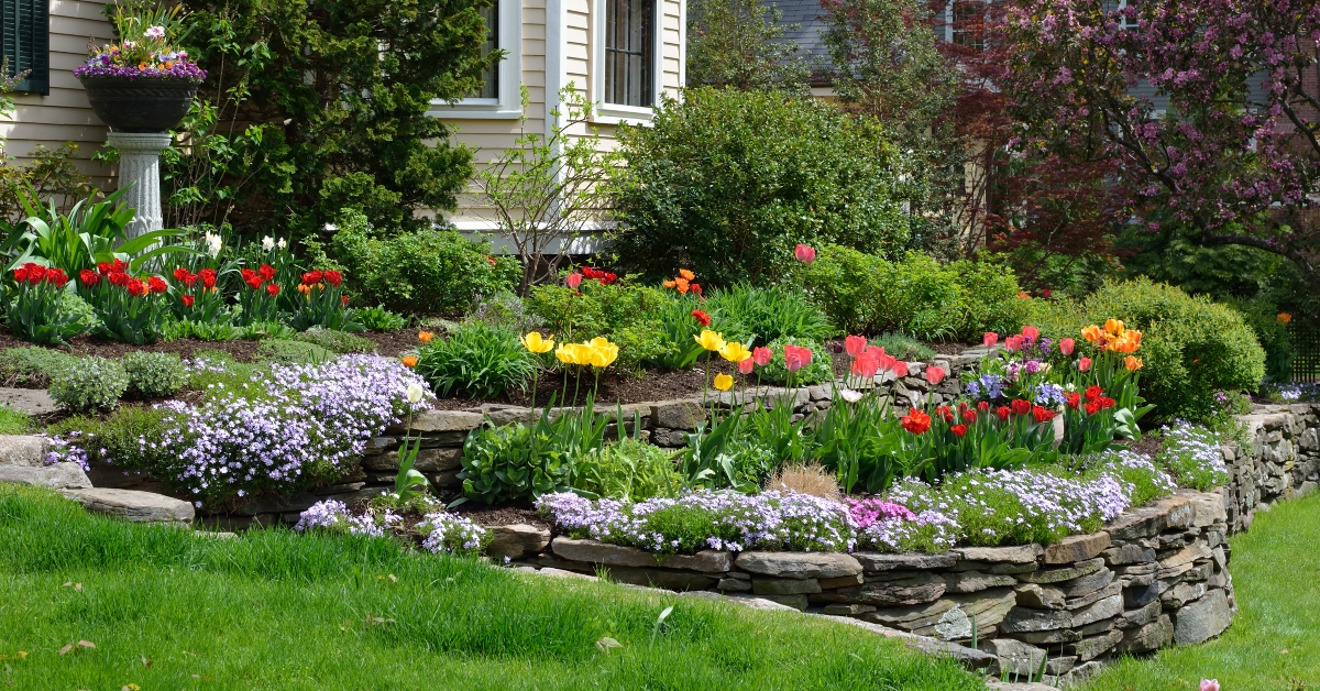 Classic and colorful garden