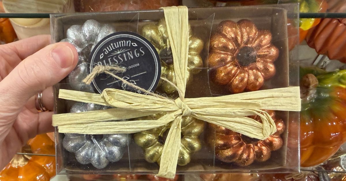 autumn blessings pumpkin candles