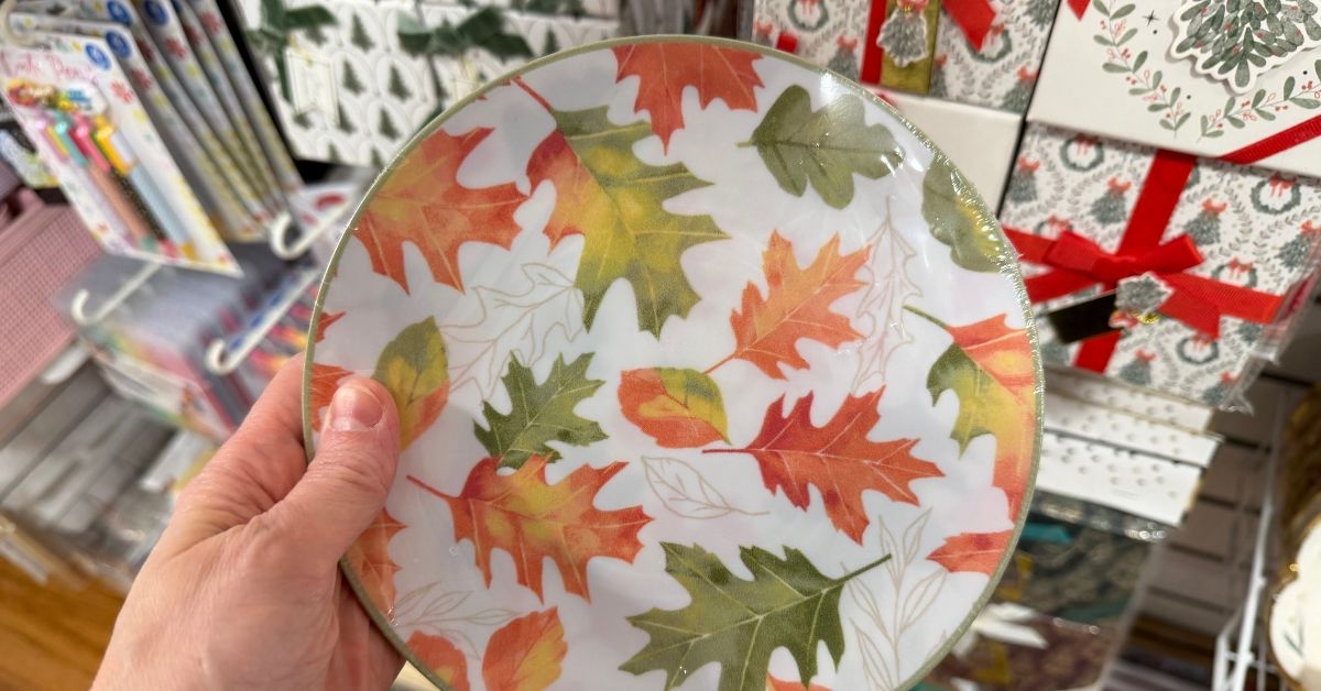 martha stewart disposable plates