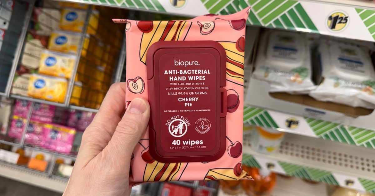 anti bacterial hand wipes