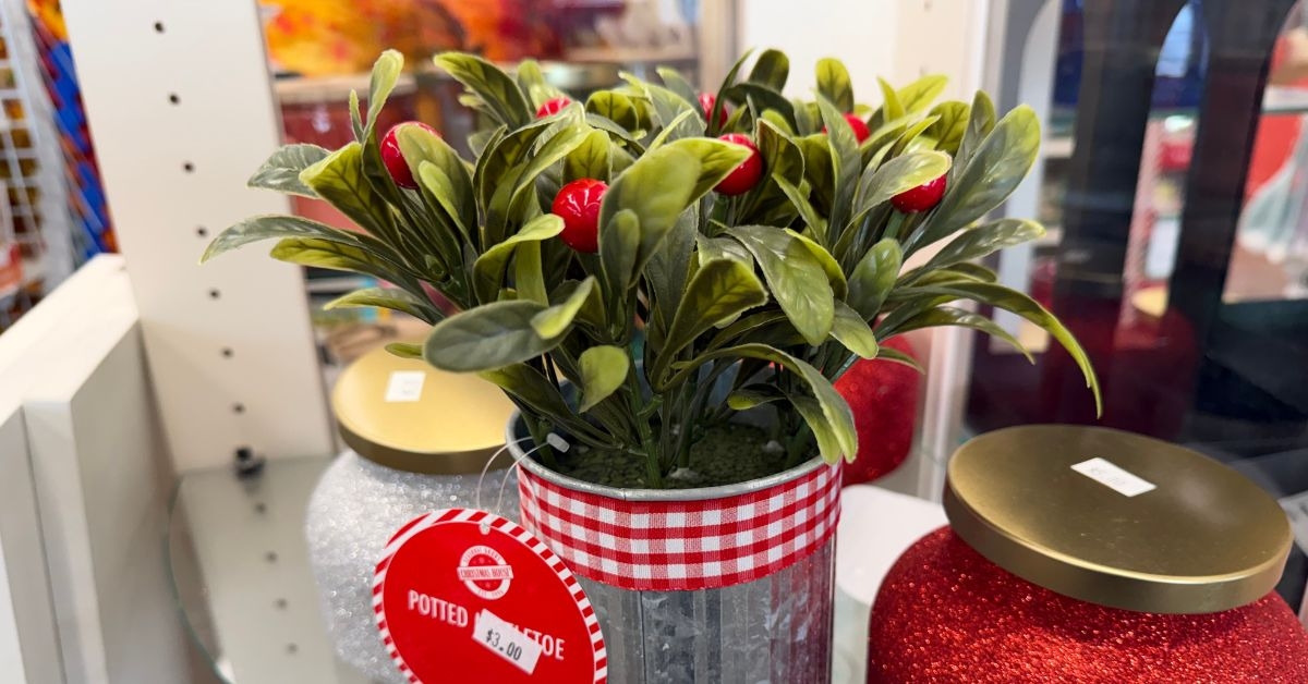 potted faux mistletoe