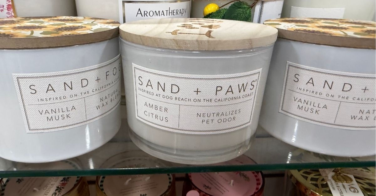 sand paws amber citrus candle