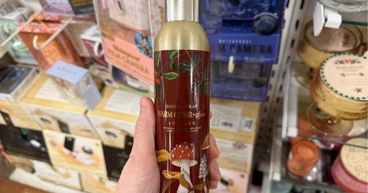 warm cider and spice room spray