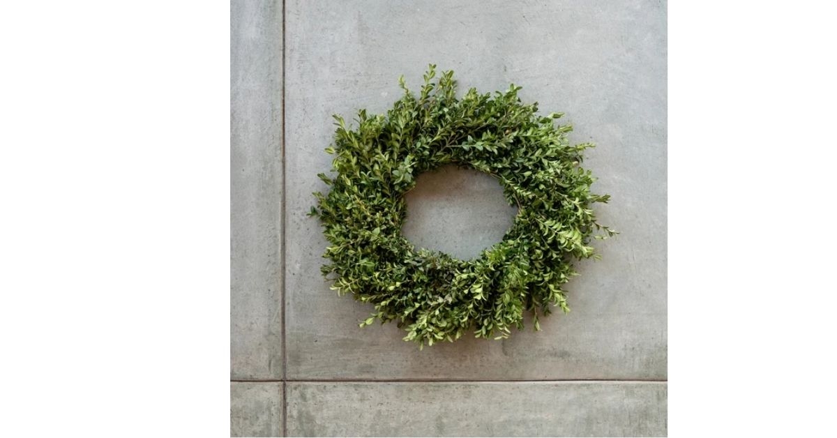 fresh boxwood wreath