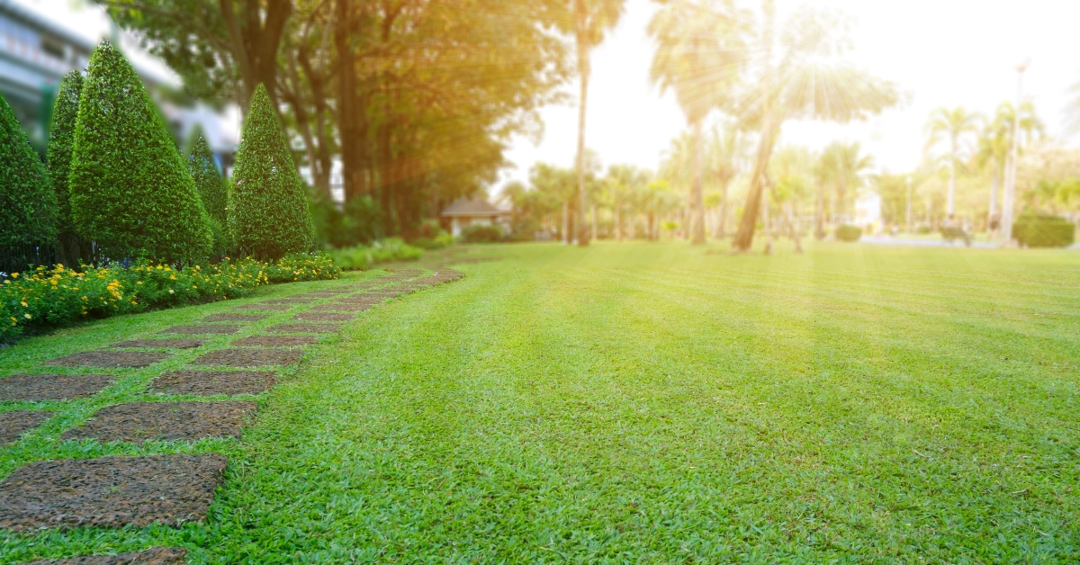 steping stone on a green lawn