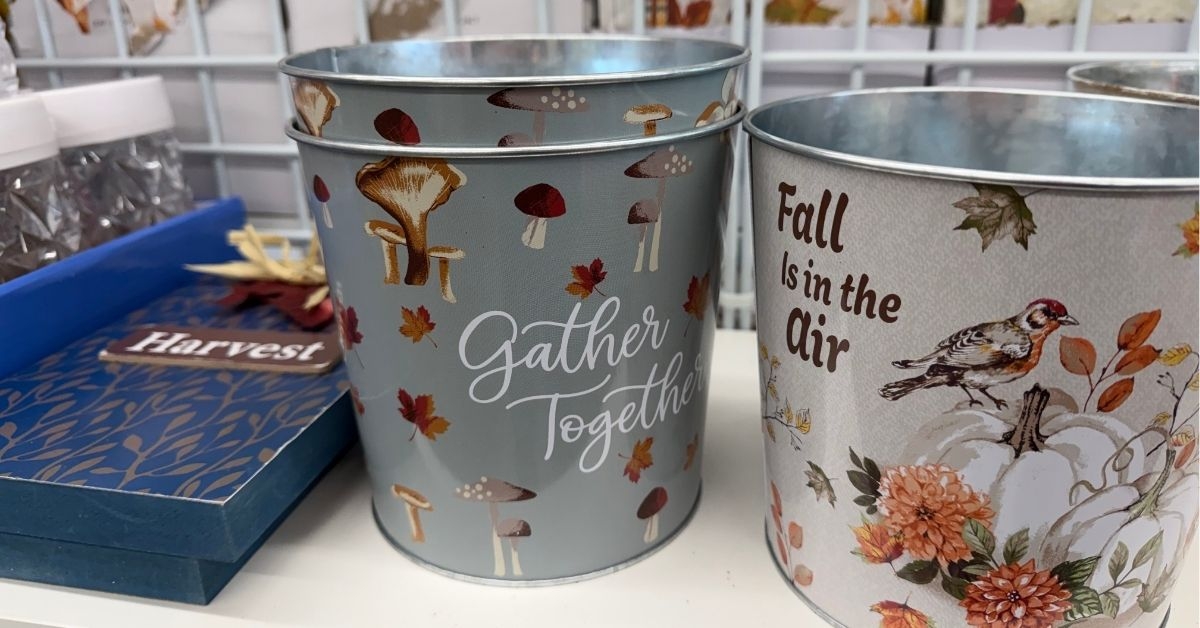 harvest tin pails