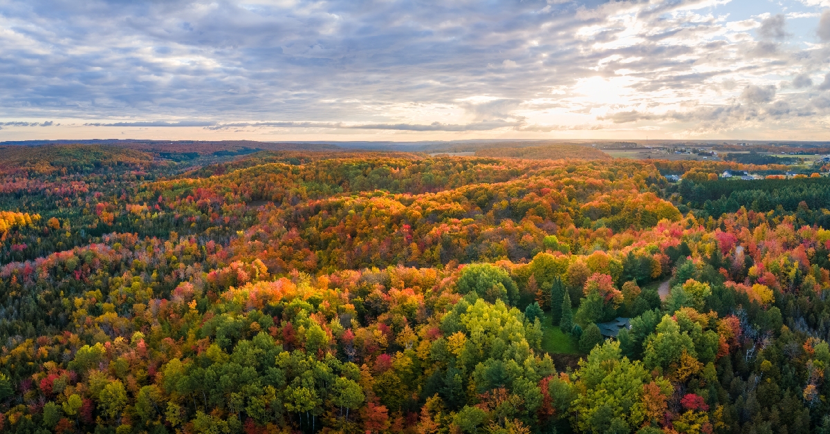 autumn sunrise in gaylord michigan