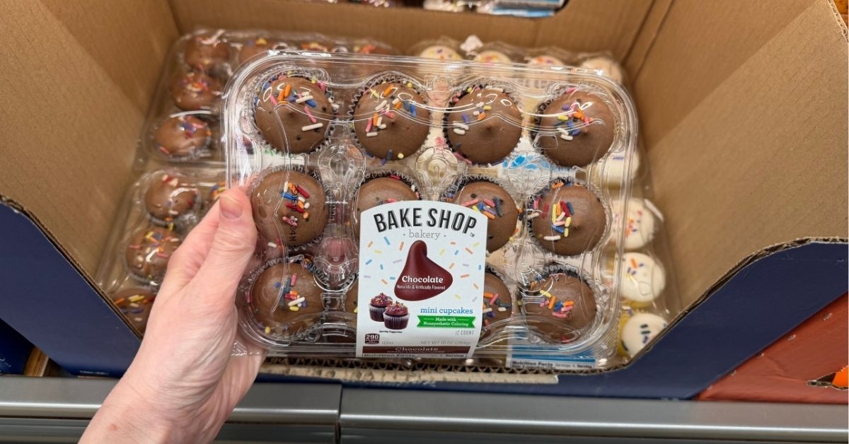 chocolate mini cupcakes