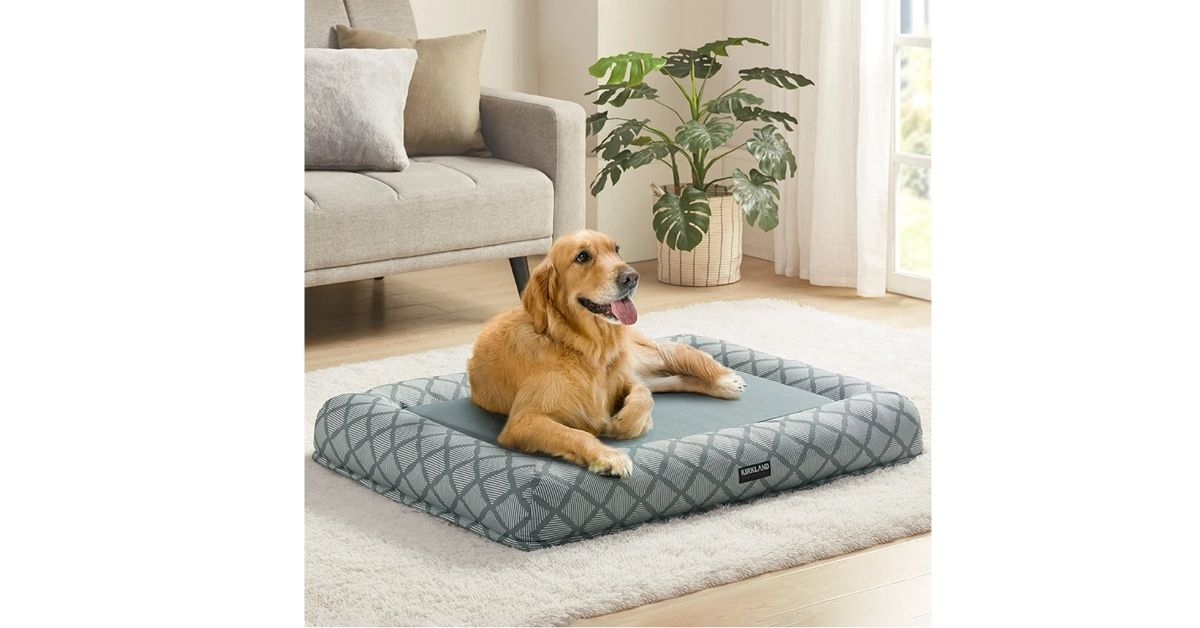 bolster pet bed