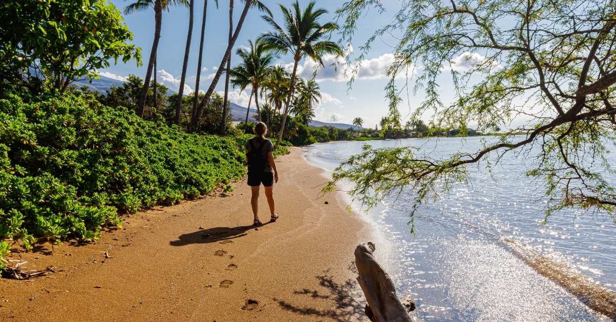 walking under coconut palm trees