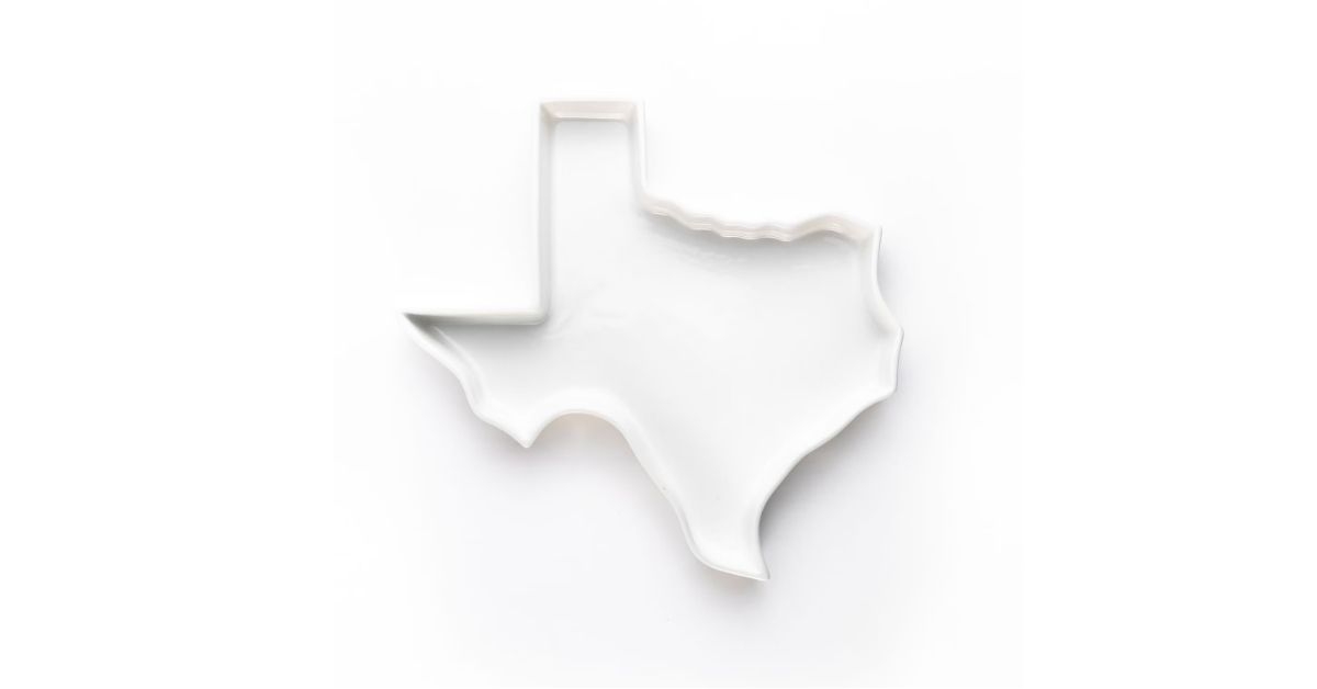 state shaped bake serve dish