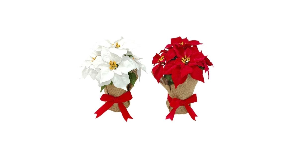 faux poinsettia in burlap pot