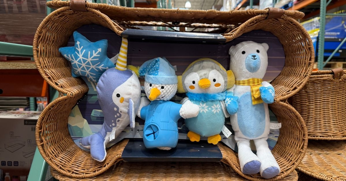 buddy buddy dog bone basket