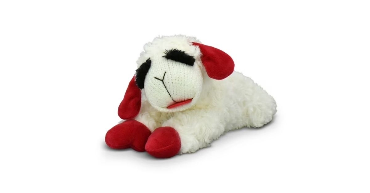 lamb chop dog toy with squeaker