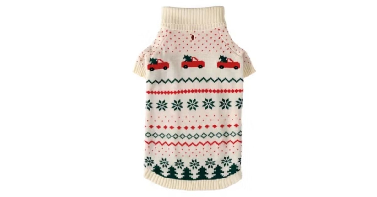 holiday pet sweater