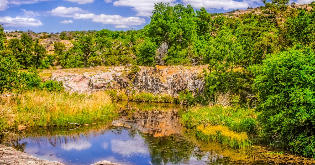 pond at charons garden