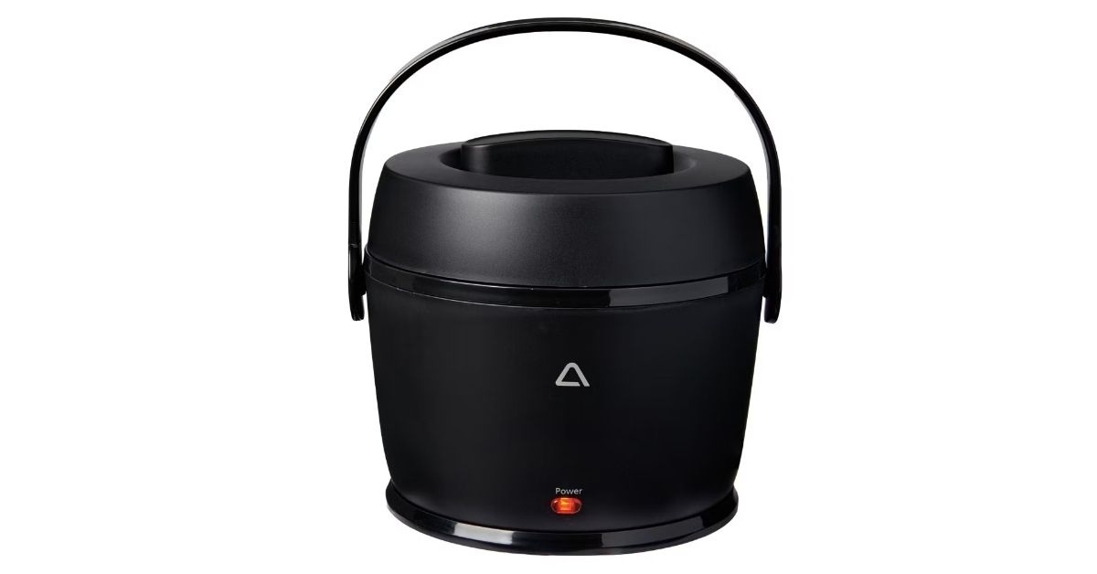 portable electric food warmer