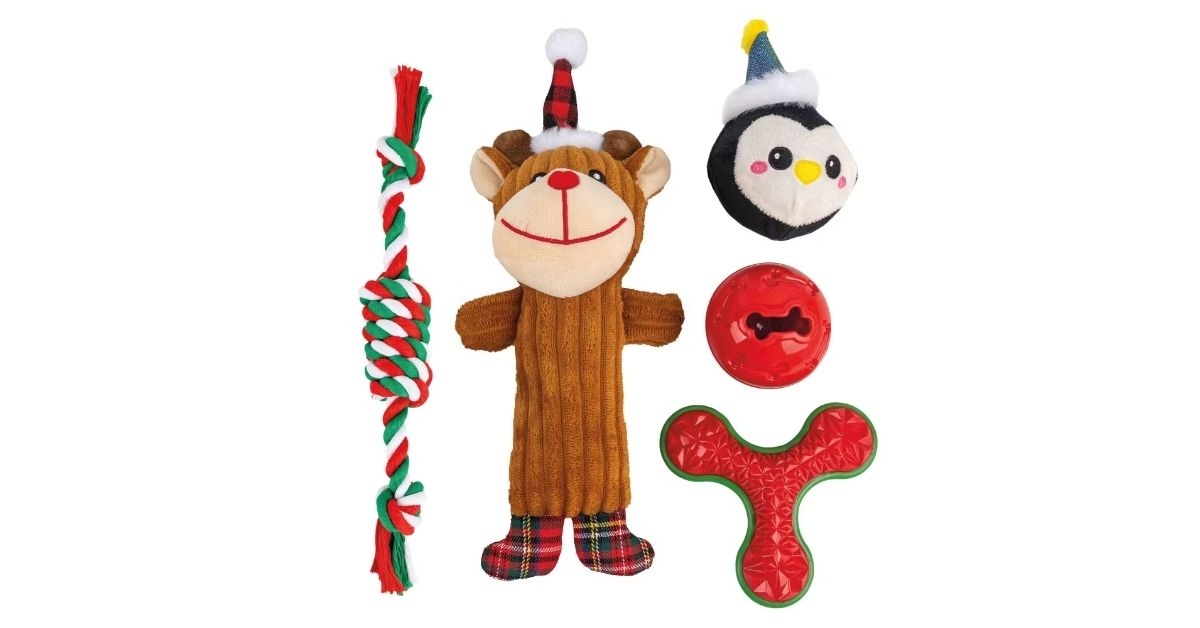 holiday dog toy gift set