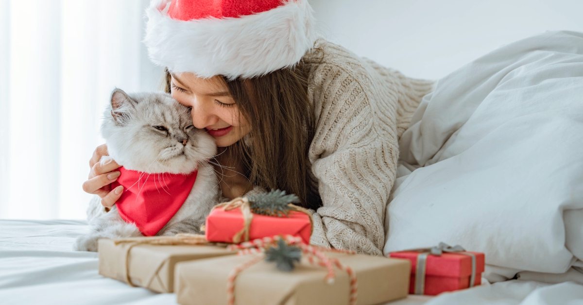 woman wearing Santa hat playing grey cat