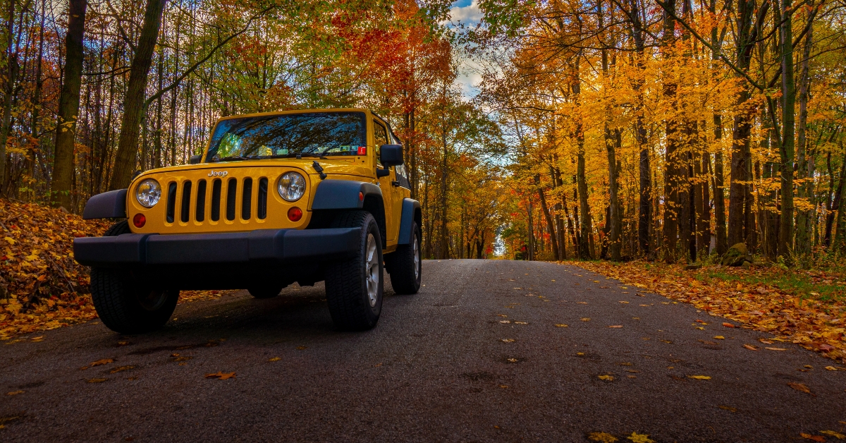 A Jeep Wrangler blending in with the fall foliage