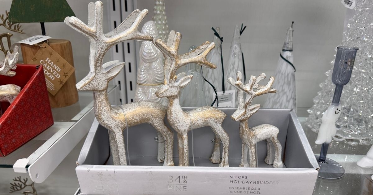 holiday reindeer set