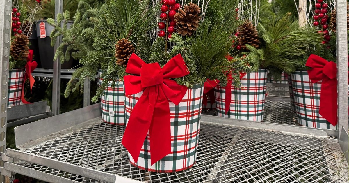 holiday planters