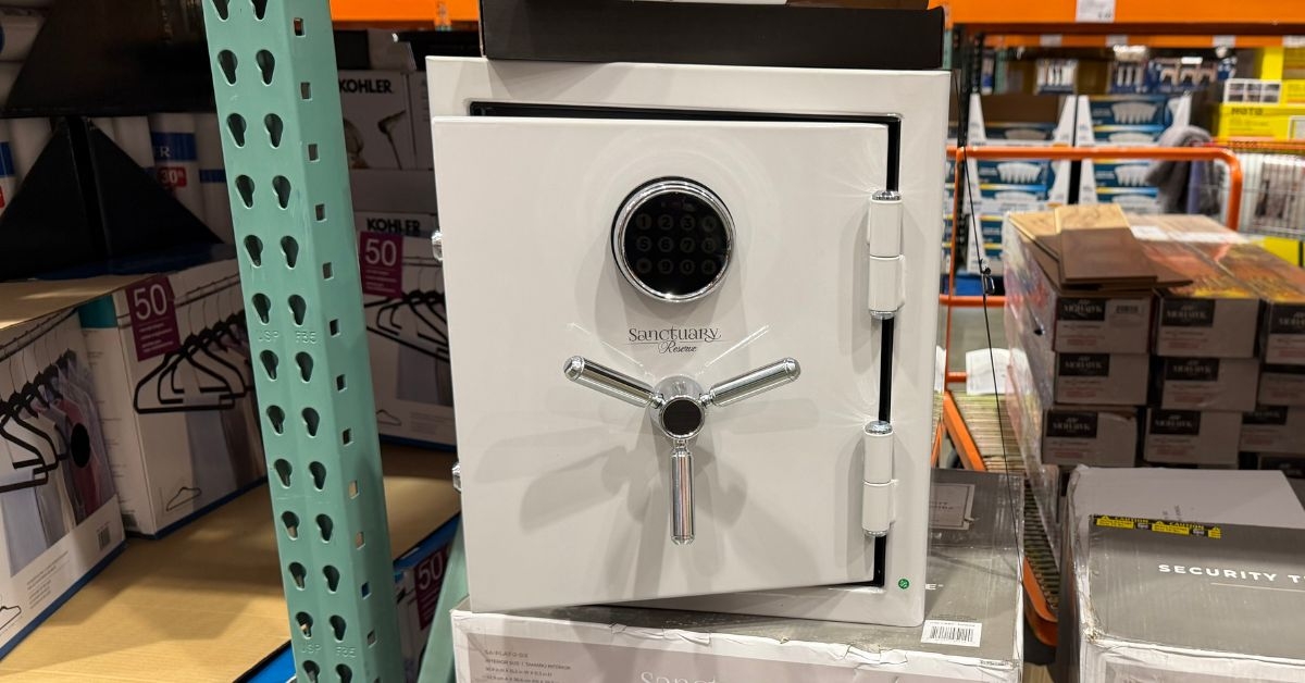 sanctuary  home and office safe