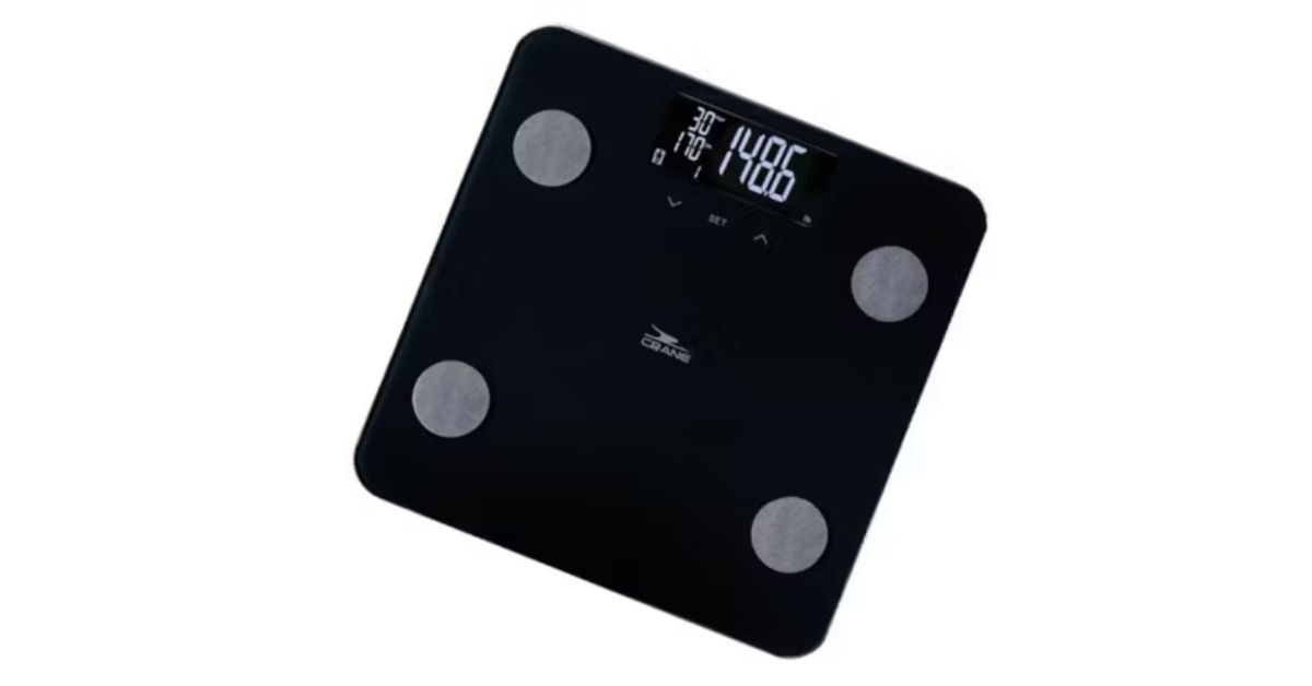 body fat scale