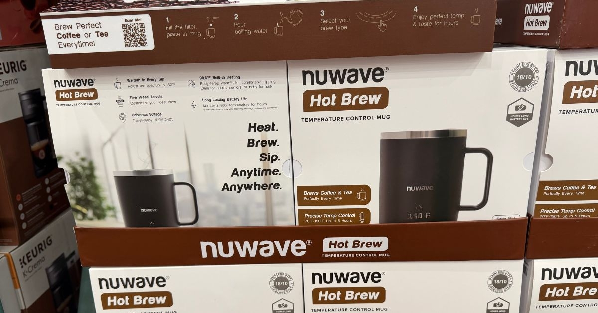 temperature control mug